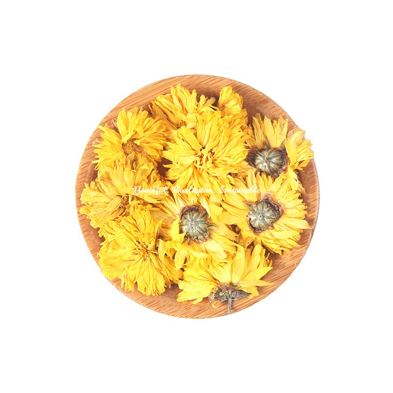 Yellow Chrysanthemum