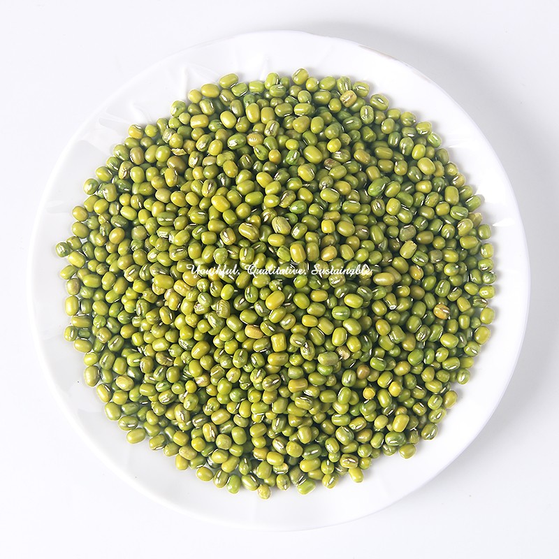 Mung Bean