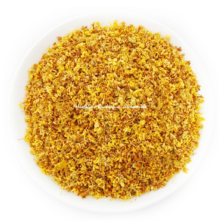 Osmanthus