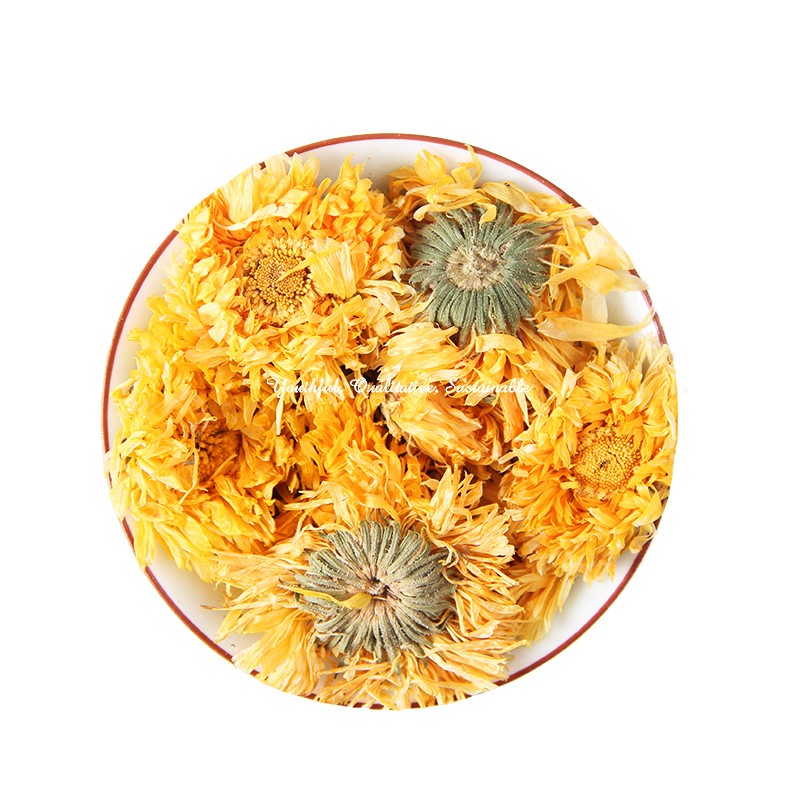 Calendula