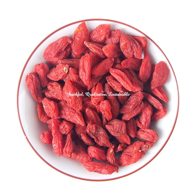 Goji Berry