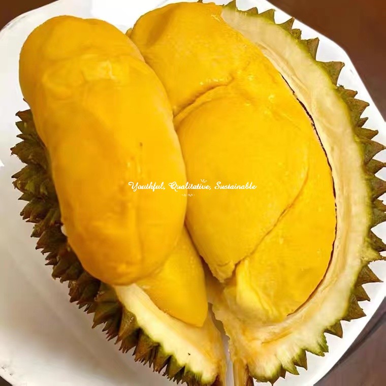 Wholesale D197 Musang King Frozen Whole Durian